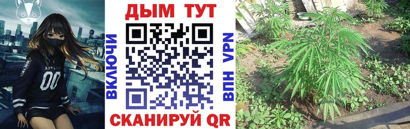 Купить наркотики сайты Спасск-Рязанский COCAIN A PVP Амфетамин Меф ГАШ