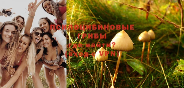 молекула духа Алексеевка