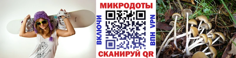 Галлюциногенные грибы ЛСД Спасск-Рязанский
